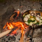 Vegan Campfire Cuisine